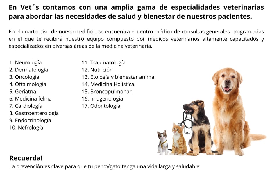 En VET ́S Veterinary Emergency Total Service, nos enorgullece ofrecer un servicio completo y especializado para garantizar el bienestar de nuestros pacientes y la tranquilidad de sus tutores. En Ve (1)